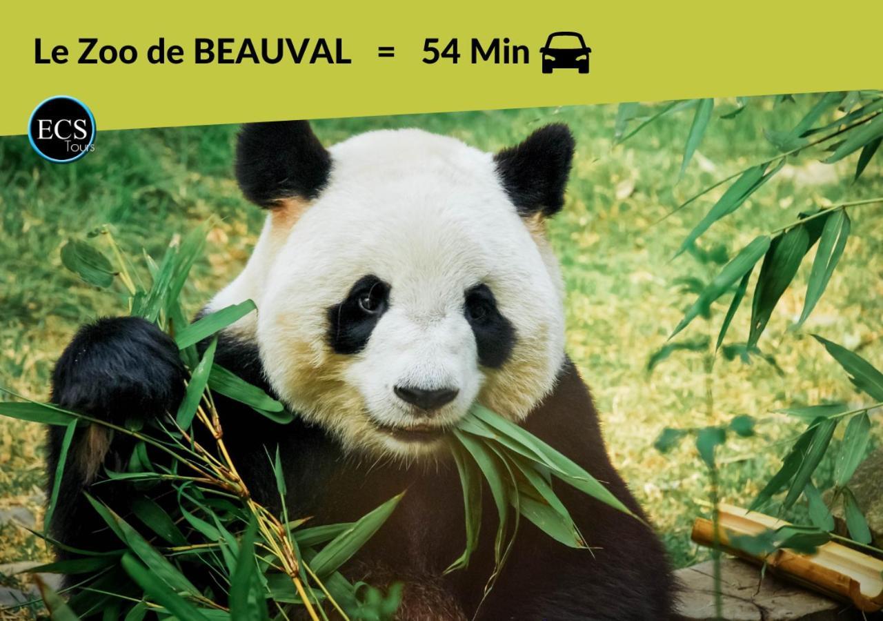 Apartmán "Le Safari" - 2 Lits - Au Coeur Du Vieux Tours Exteriér fotografie